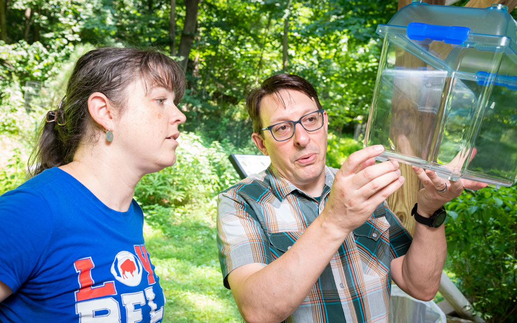TU professor Christopher Oufiero shows bugs to a high school science teacher