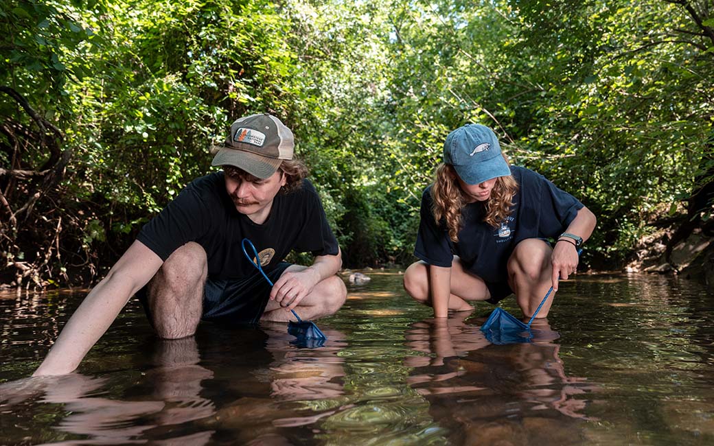 TU students conducting researching in a stream