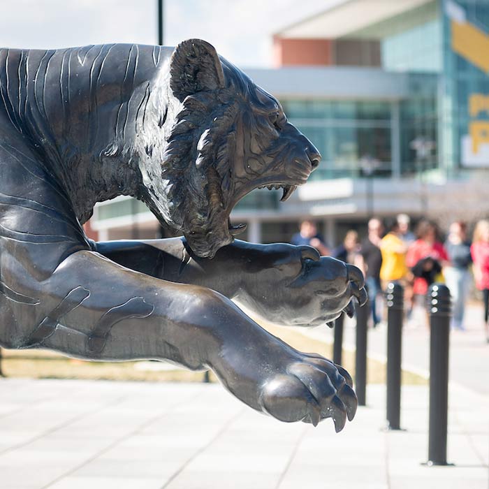 tiger statue