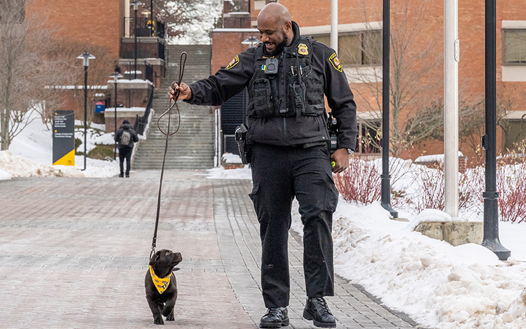 Bruno walking on campus
