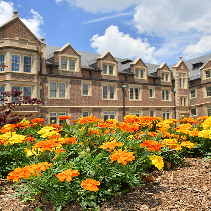 Flowers on Campus