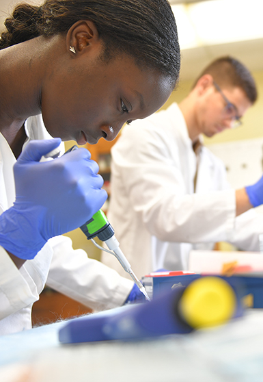 students in a lab