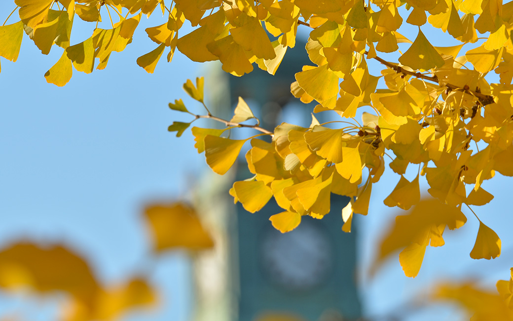 Stephens Hall in Autumn