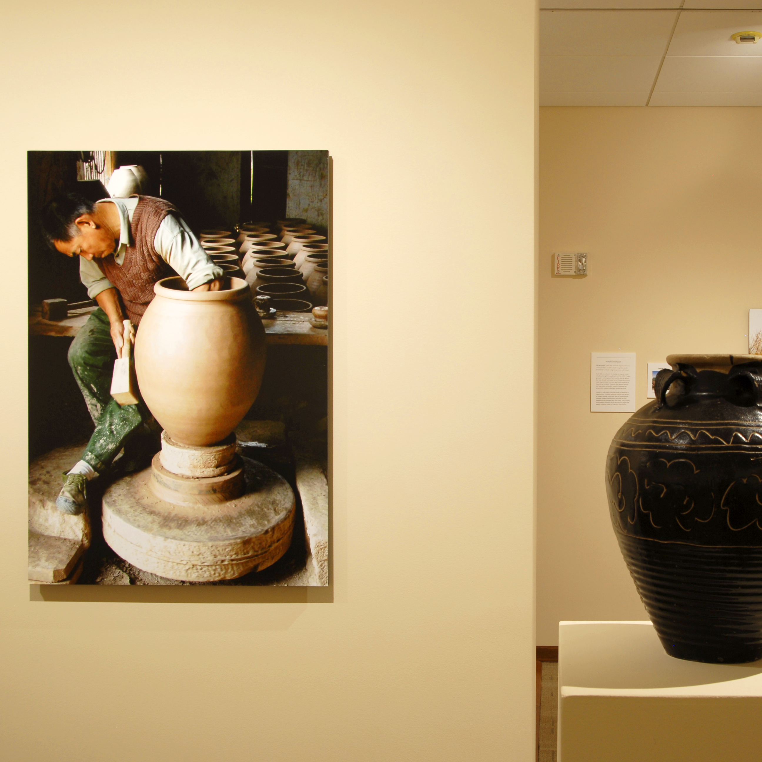 Programs & Exhibitions Towson University