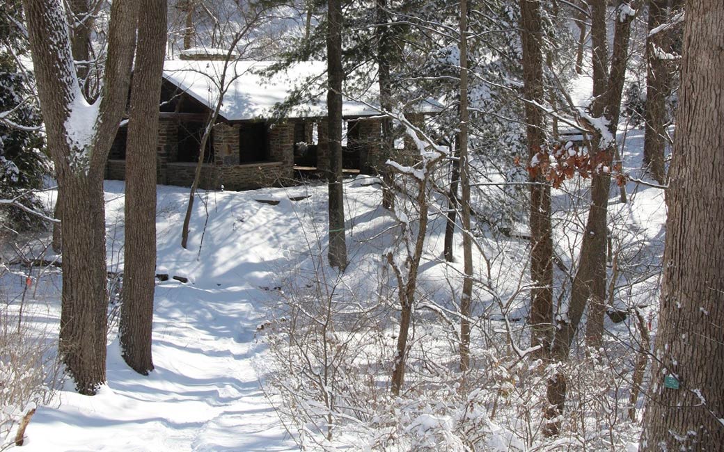The Glen Arboretum in winter