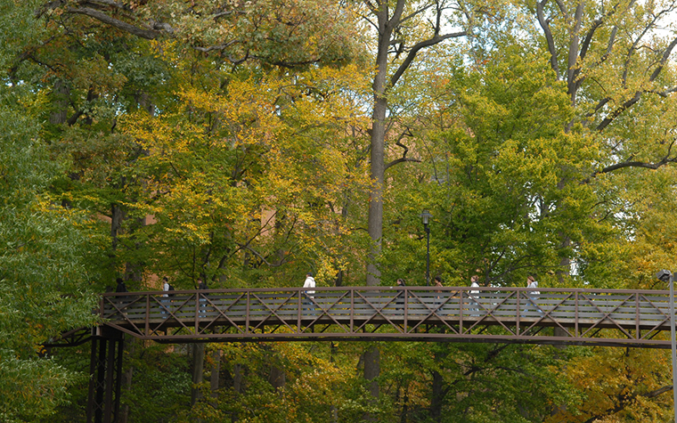 The Glen Arboretum in fall