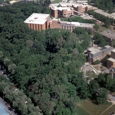 An aerial view of the Glen Arboretum.