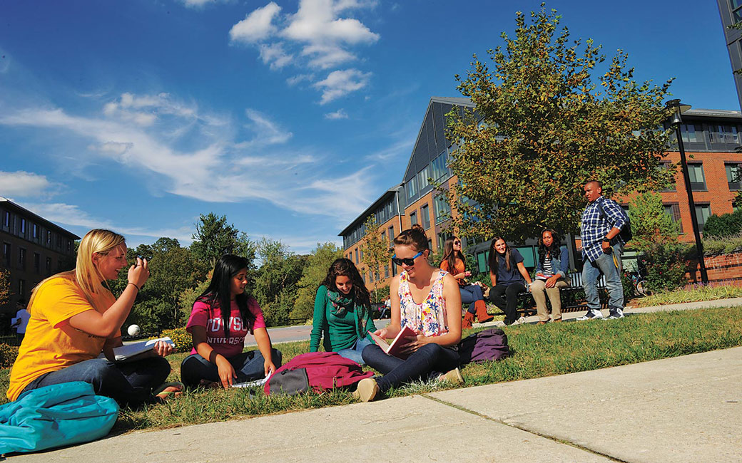 Several students sitting outside on the grass studying