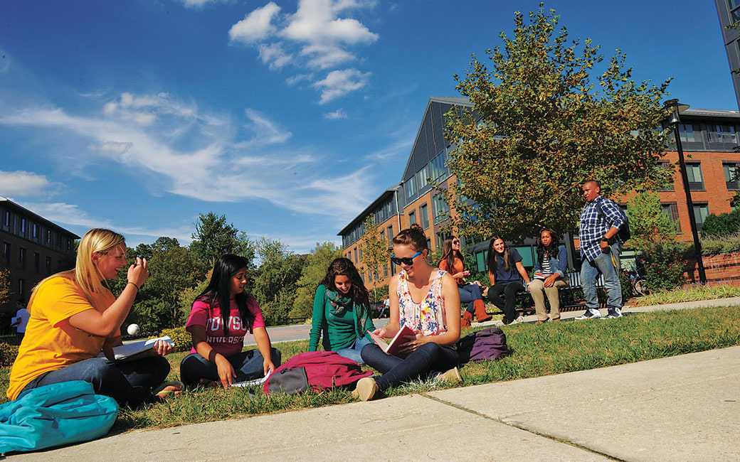 Students studying outside