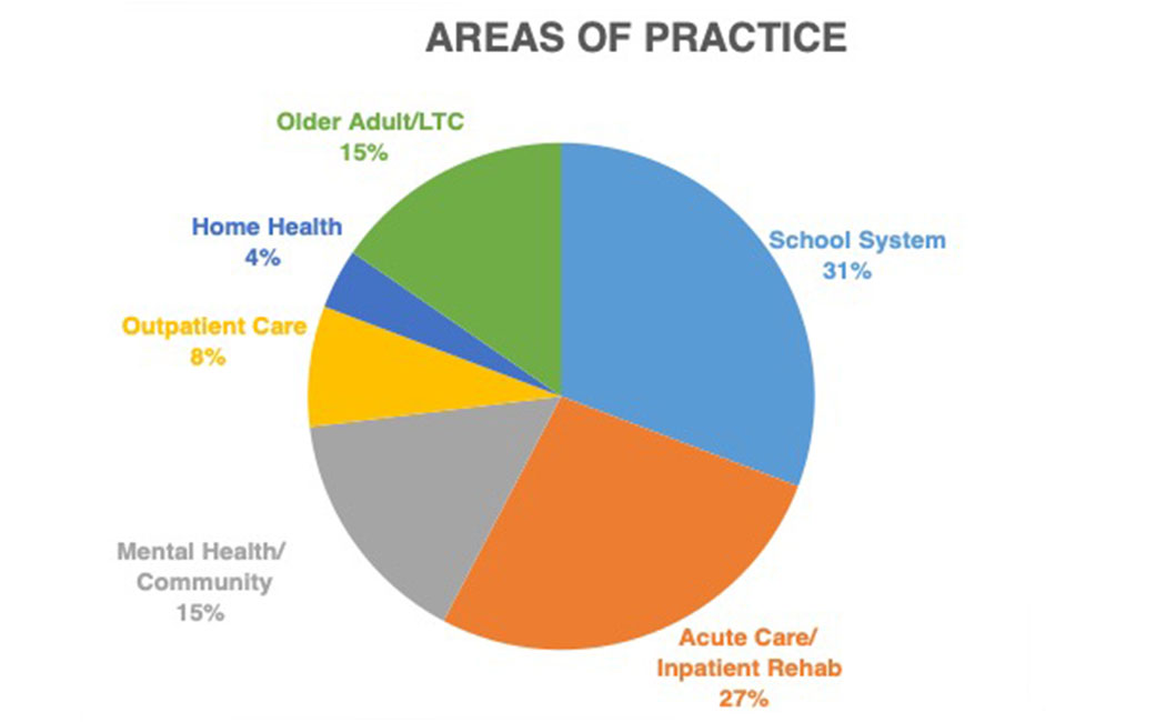 • Pie chart showing areas of practice by these categories: older adults/LTC, 11%; school system, 21%; Acute care, inpatient rehab, 21%; adult, 5%; mental health/community, 21%; outpatient care, 10%, home health, 11%