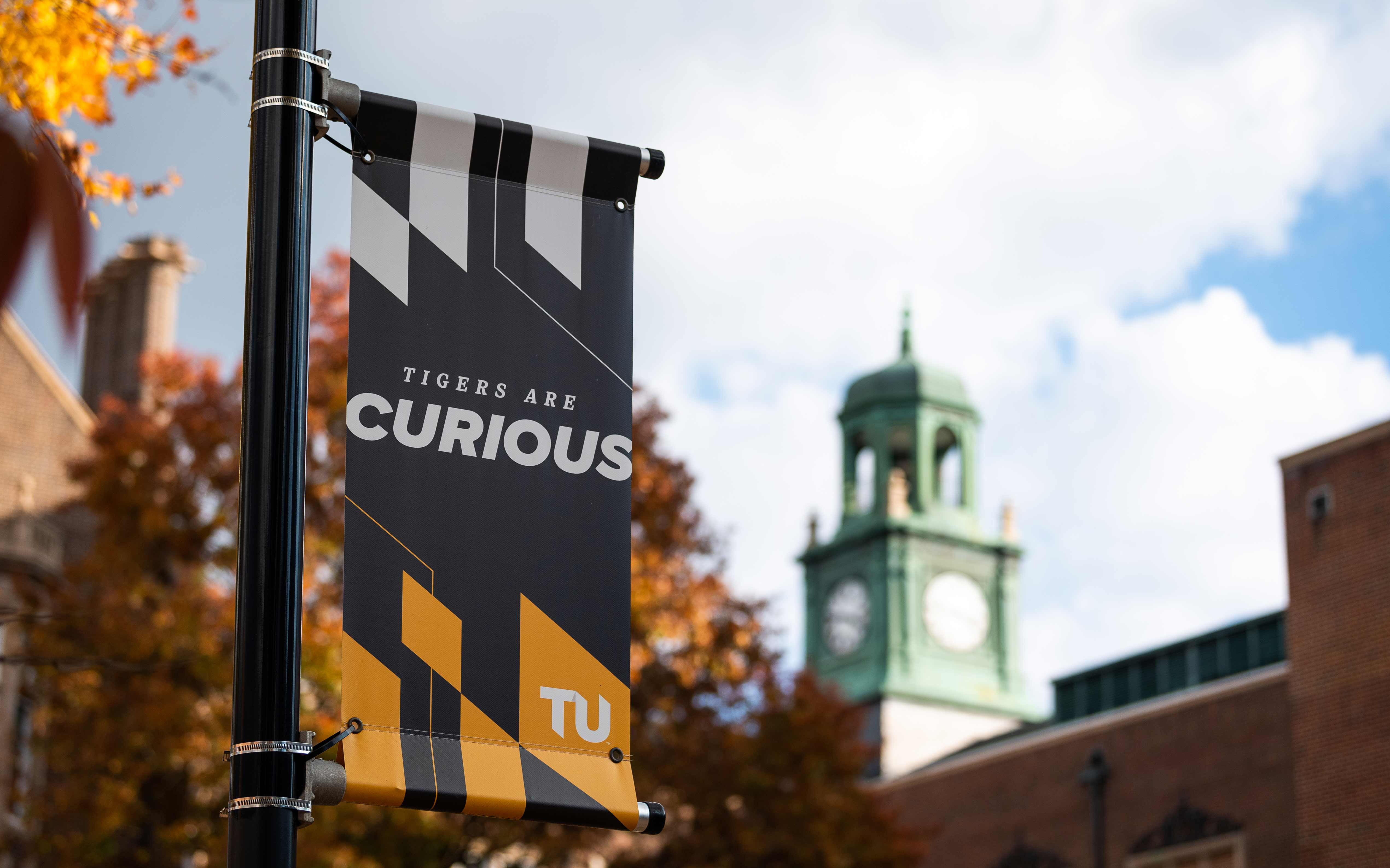 Campus banner that reads curiosity