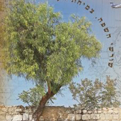 Hebrew Roots, Jewish Routes
