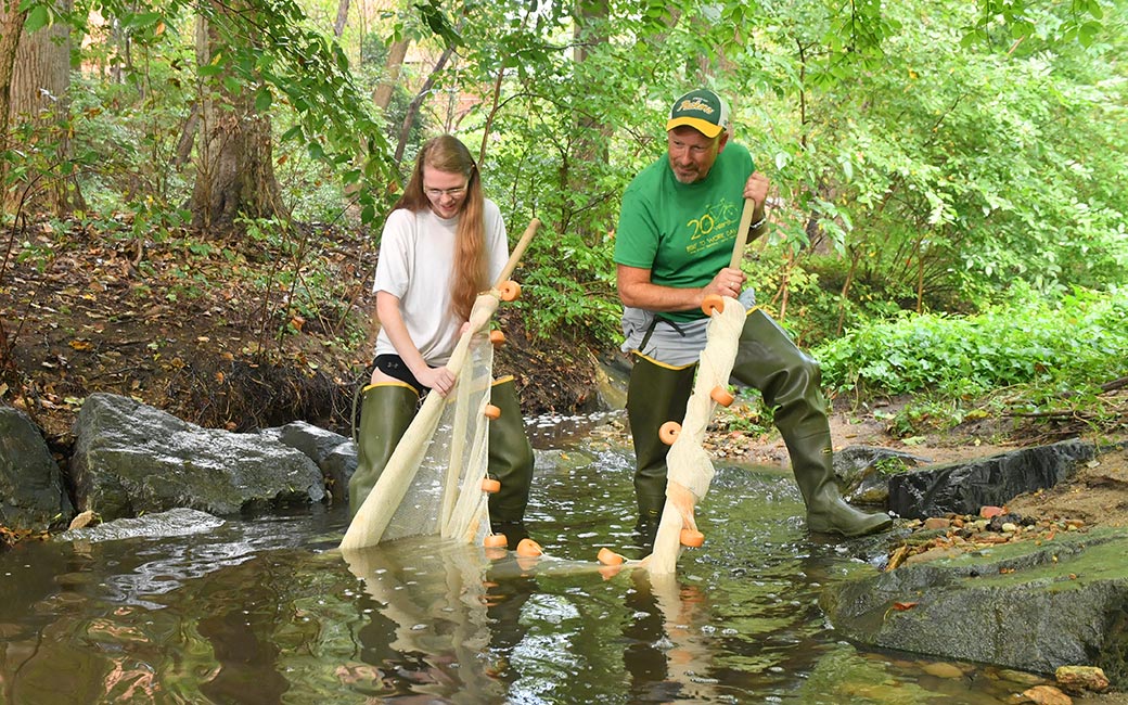 Professor Jay Nelson and Maggie Saunders use a seine net to find fish in streams. 