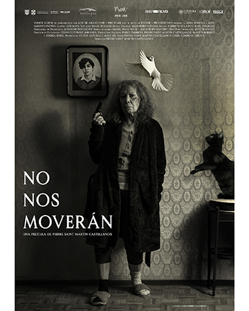 Film festival poster