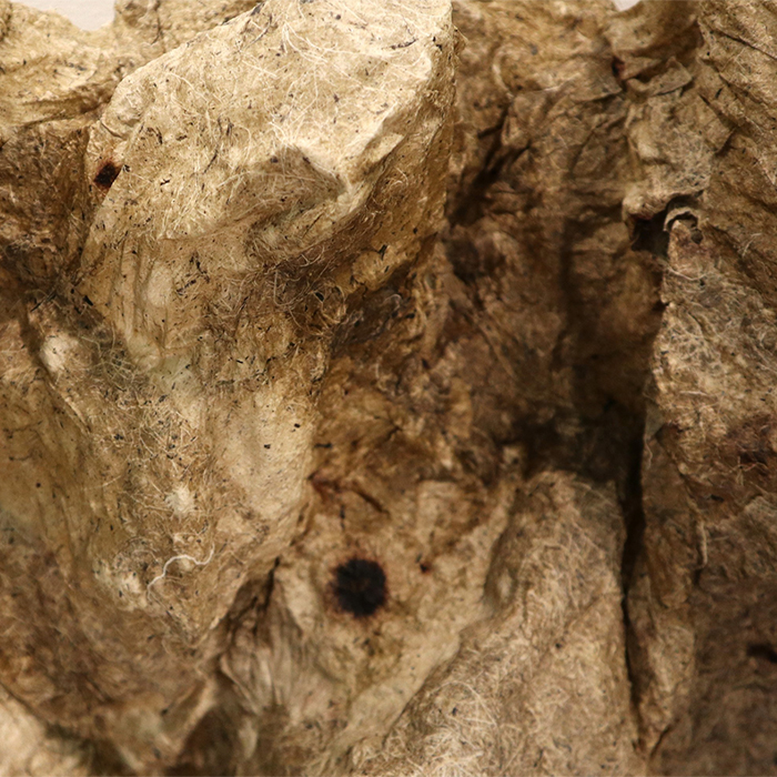 Well Rooted, Rob Cook, 2024