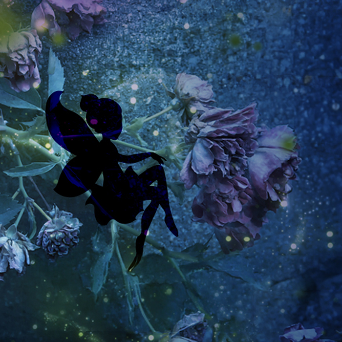 Magical fairies
