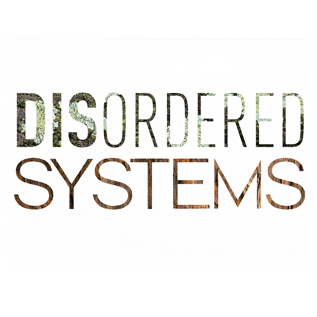 DISordered Systems logo
