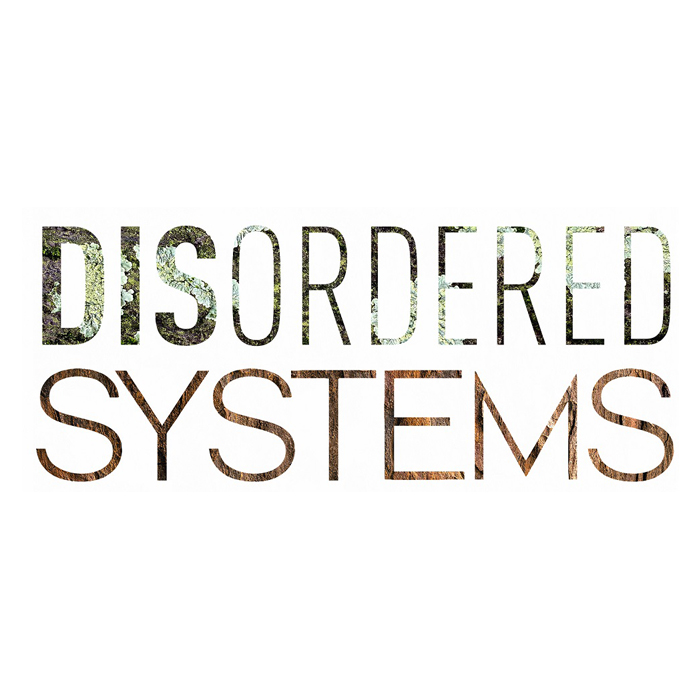Disordered Systems