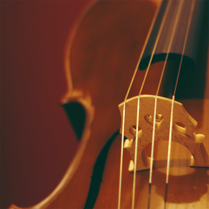 An extreme close up on a cello