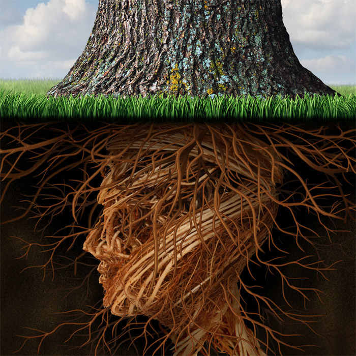 A Monster Calls graphic tree roots