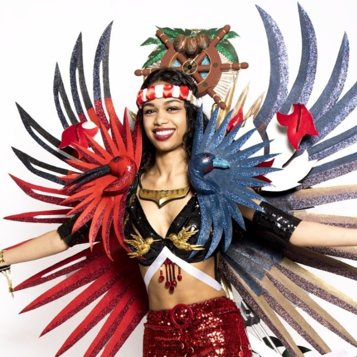 Confusion, Comfort, and Clarity: Identity as Explored by a Caribbean-American Artist