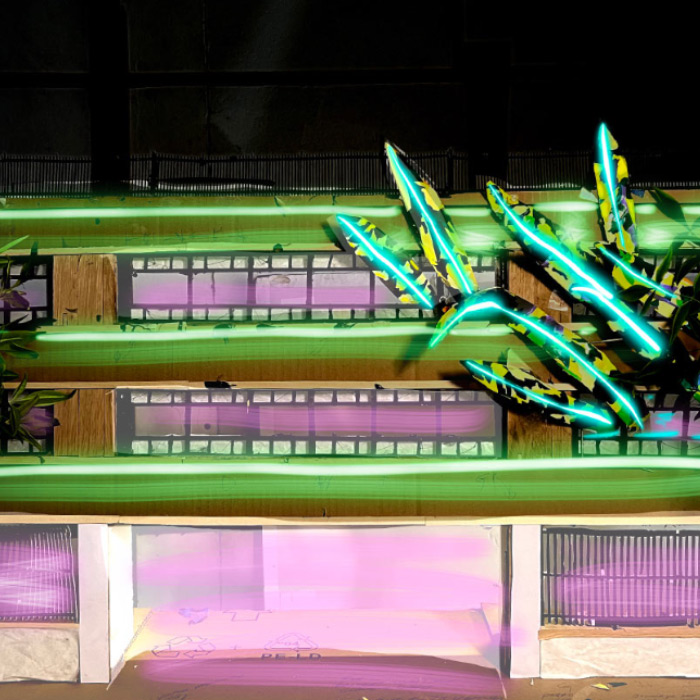 "Big Ass Snake(plant)s on a Plane" by Phaan Howng