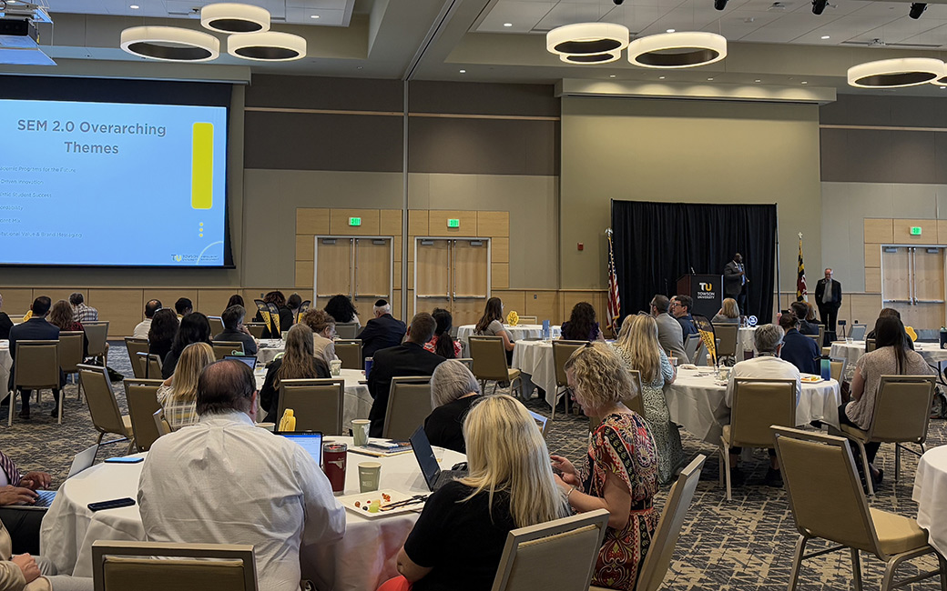 Crowd sitting and listening to a presentation4