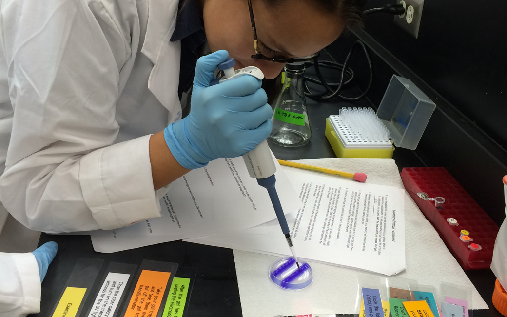 girl using micropipette