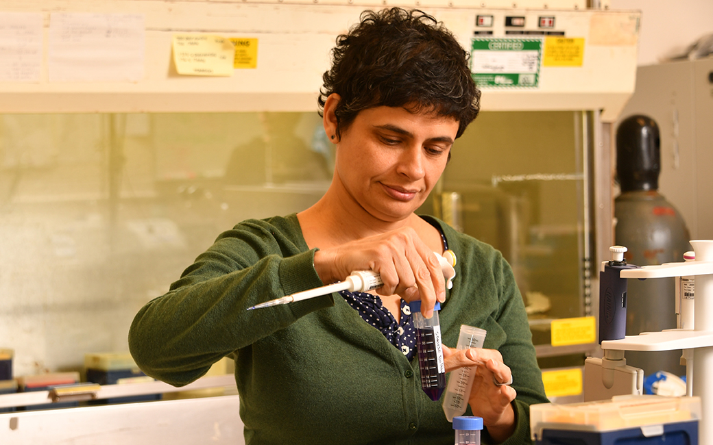 Associate professor Elana Ehrlich is TU's principal investigator on the grant.