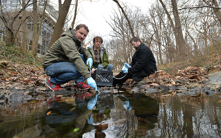 Thesis ideas for environmental studies