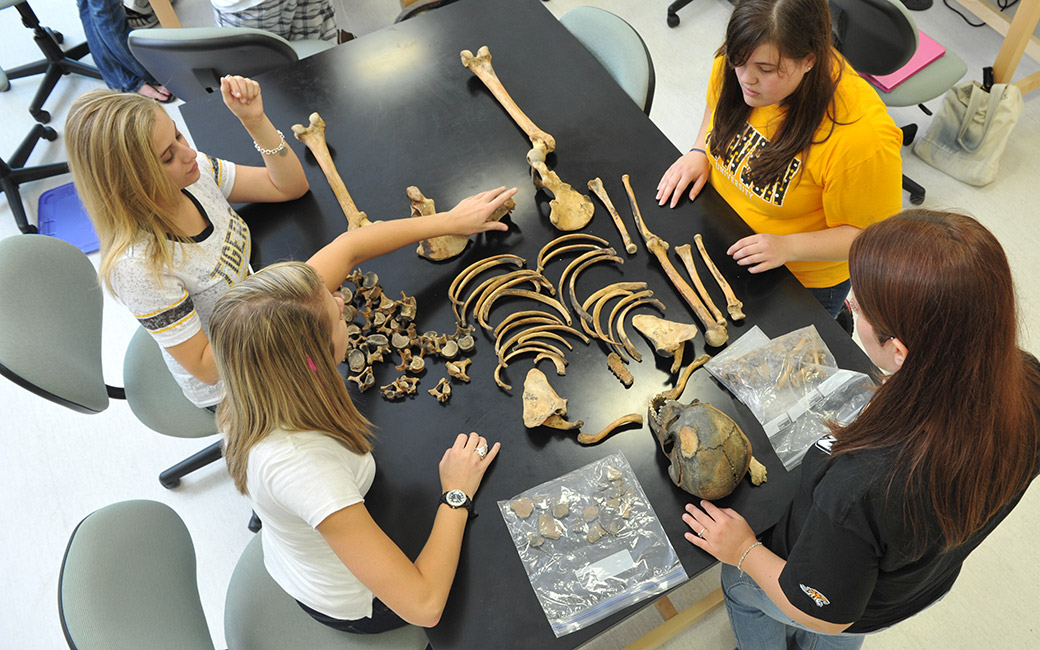 students examing bones