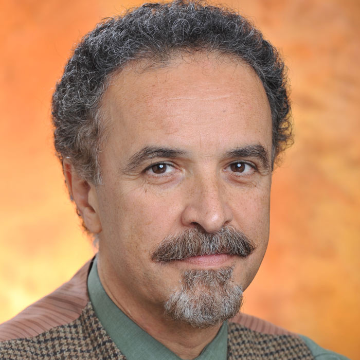 Portrait of Dr. Reza Sarhangi