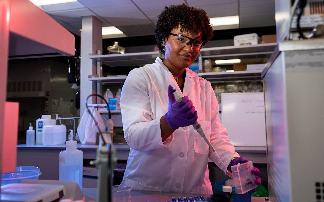 Hill-Lopes scholar working in the lab