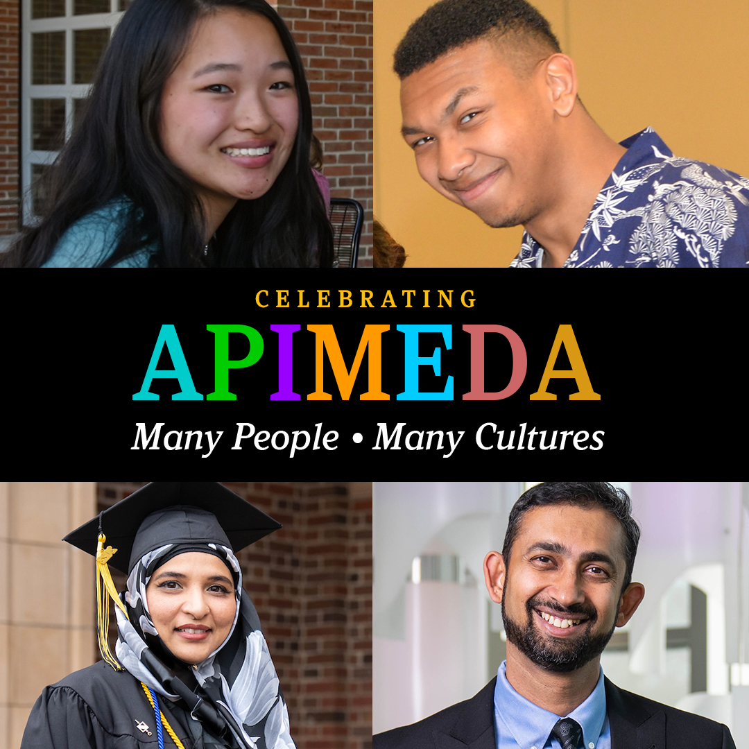 apimeda history and culture