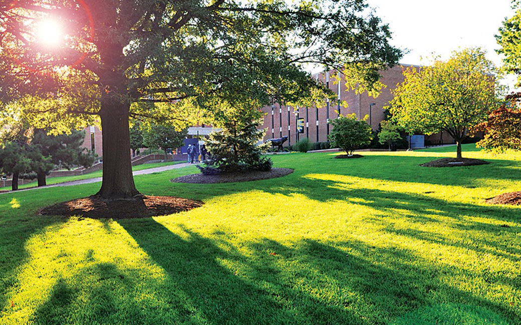 "The Beach" in the heart of Towson's Campus