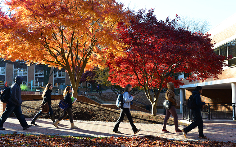 fall campus scene