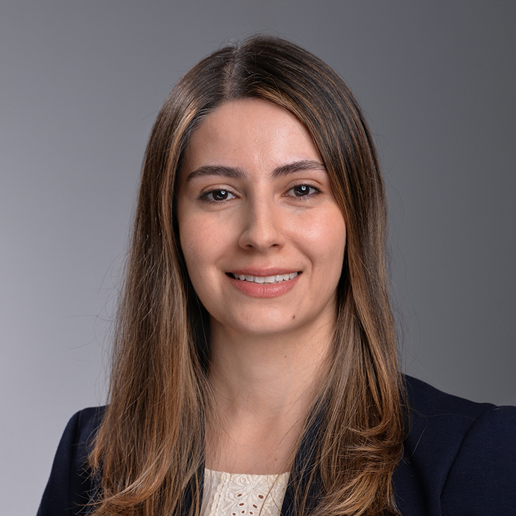 Professor Mehrzad Azmi