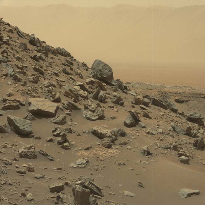 Photo of rocks on Mars' surface