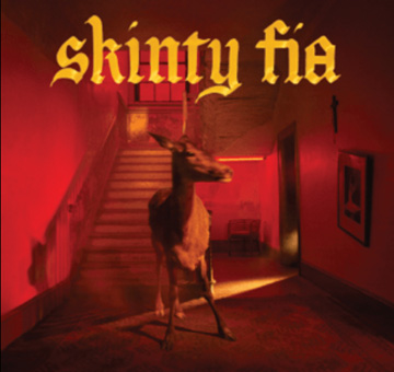Skinty Fia album cover