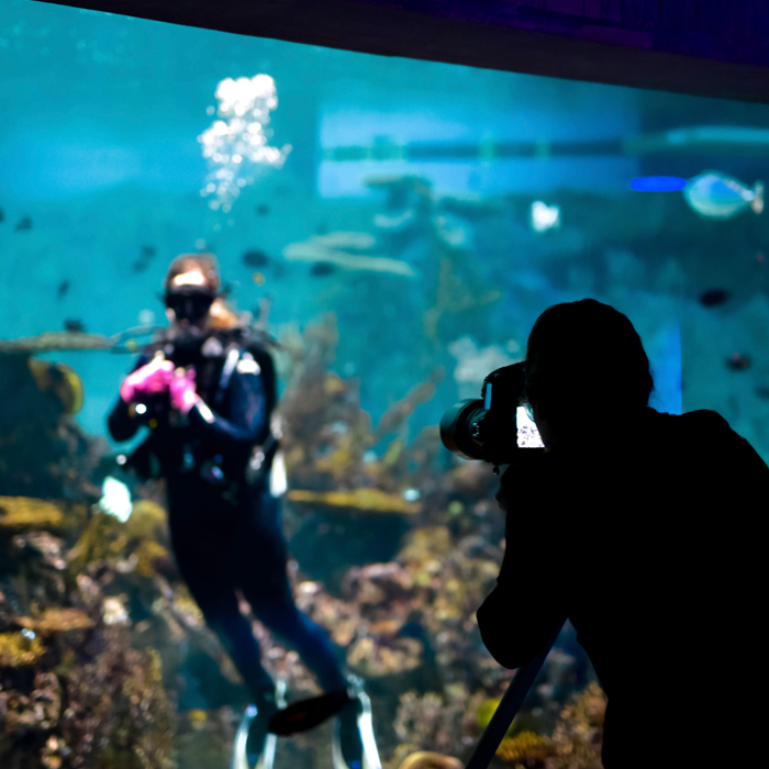 A photogrpaher taking the photo of a diver in the tank