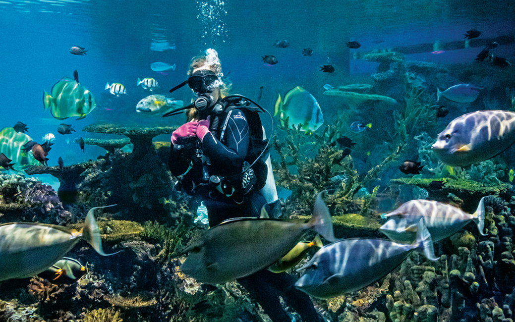 Emily Anderson Kelly in an aquarium tank