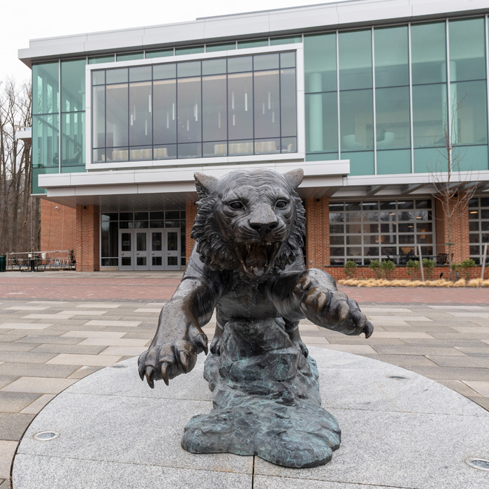 tiger statue in front of the university union