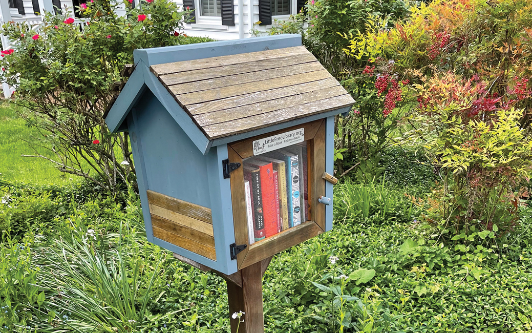little free library photo