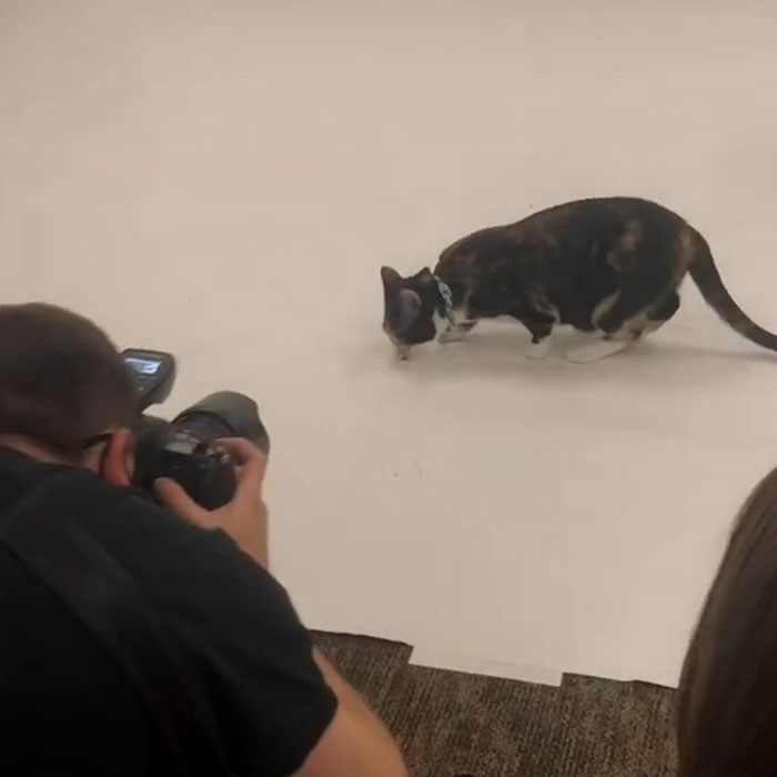 Mila the cat and photographer