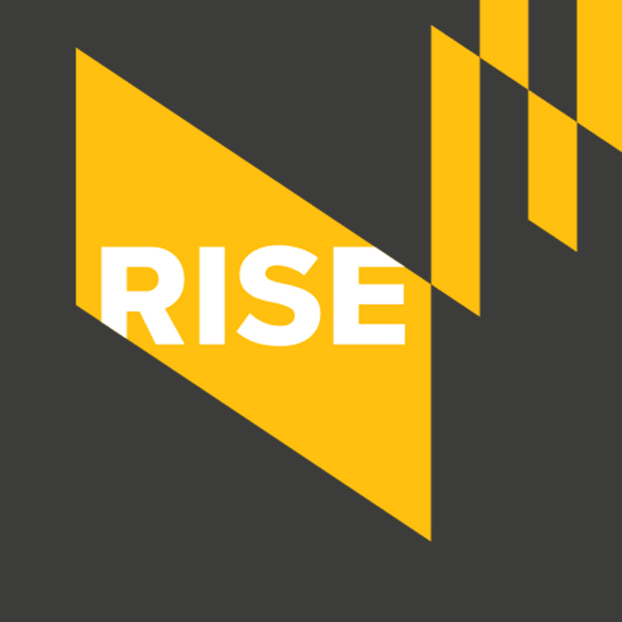 black and gold geometric shapes with the word Rise in the foreground