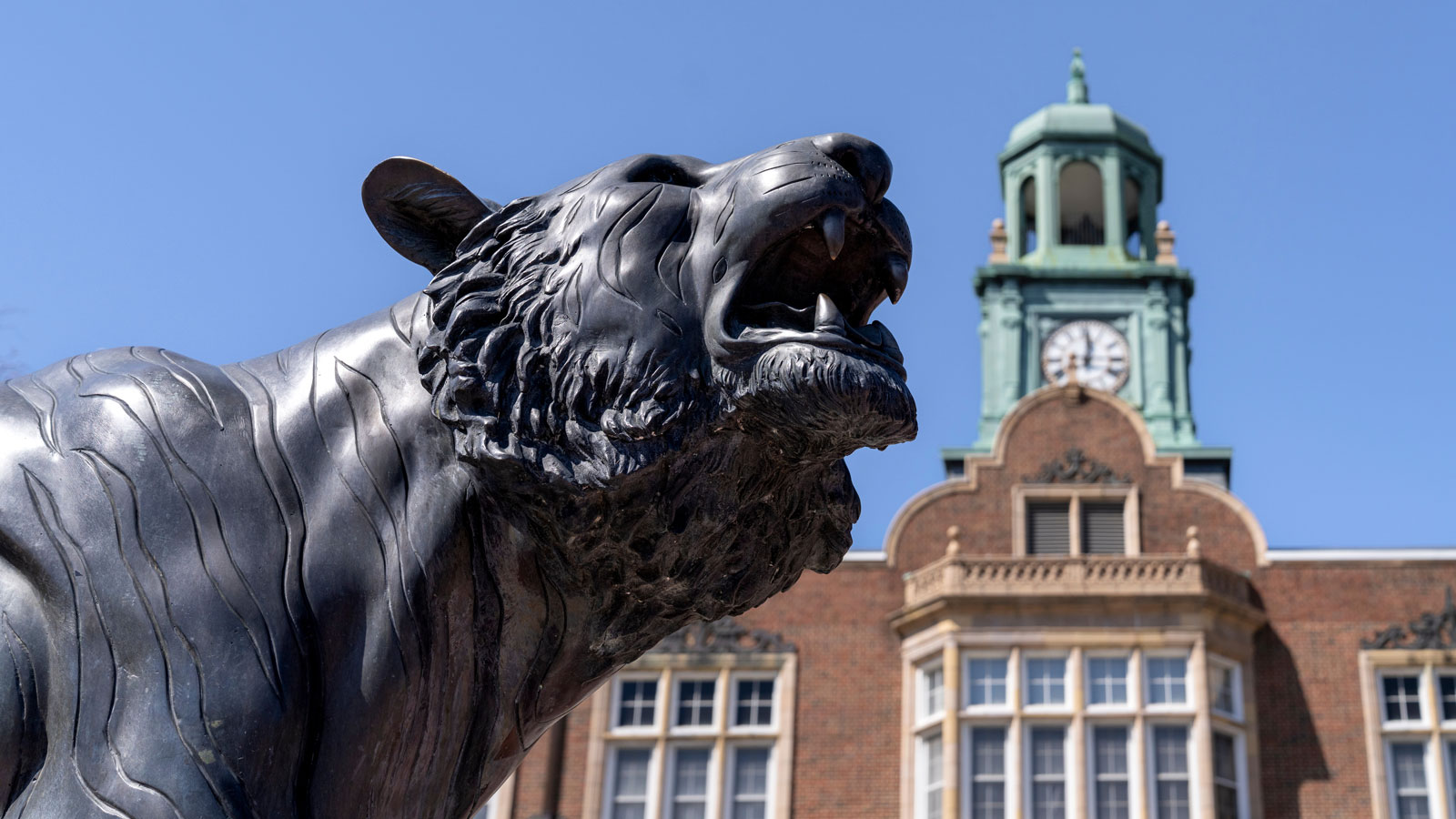 tiger statue in front of Stephens Hall