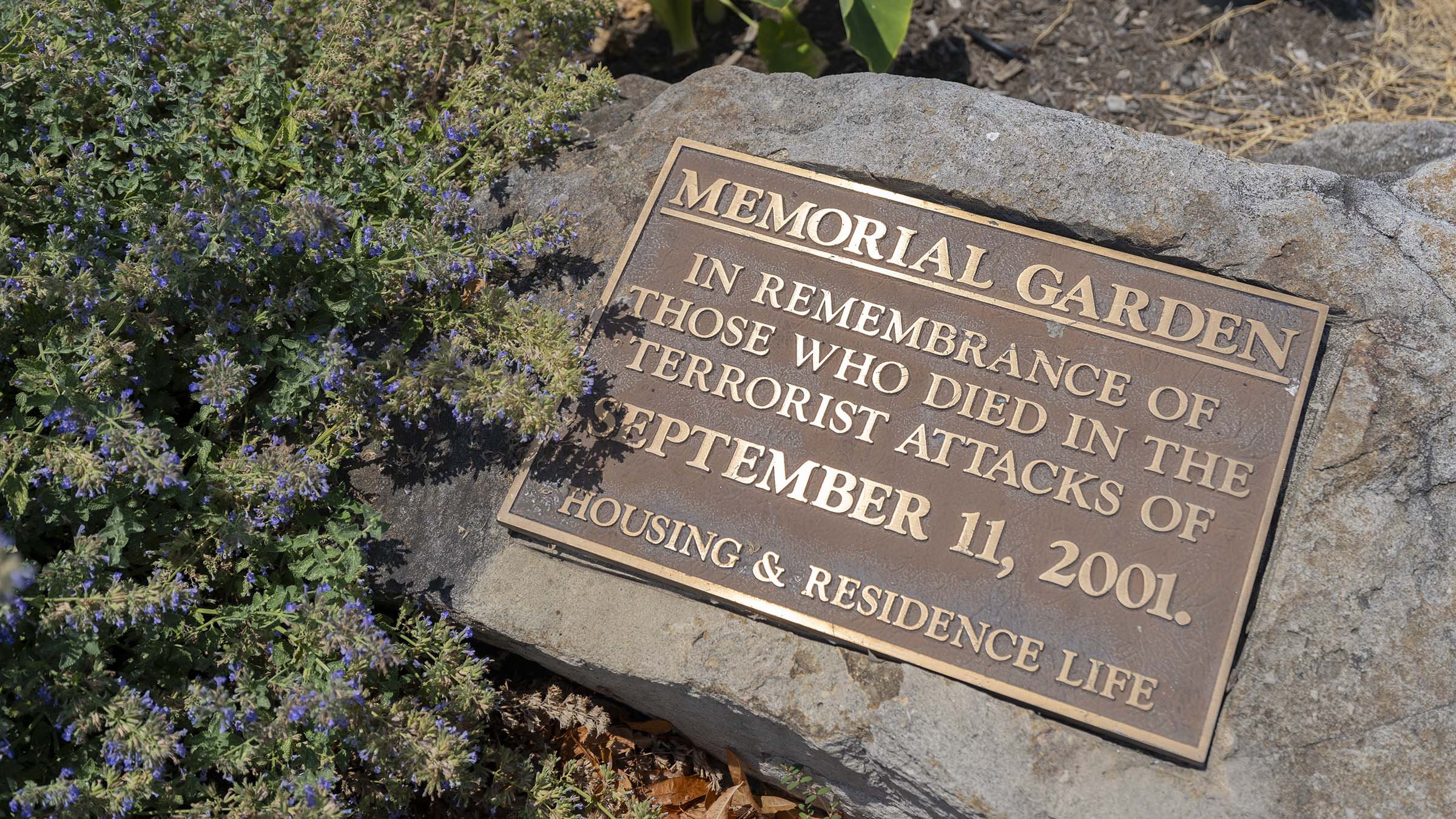 TU memorial garden 