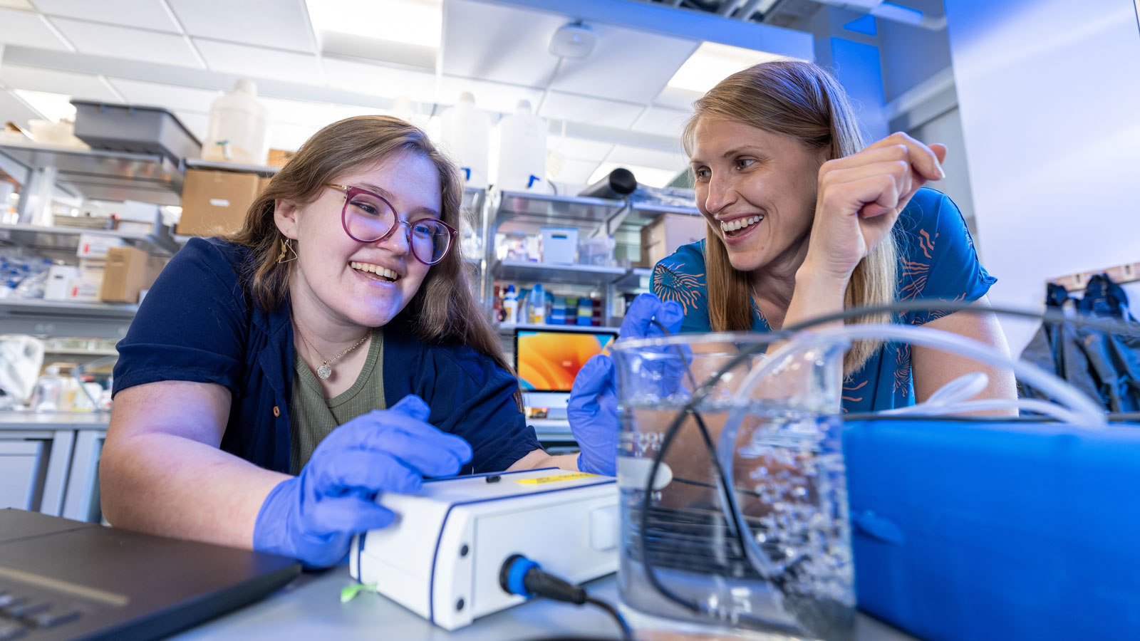 TU students doing striped bass research