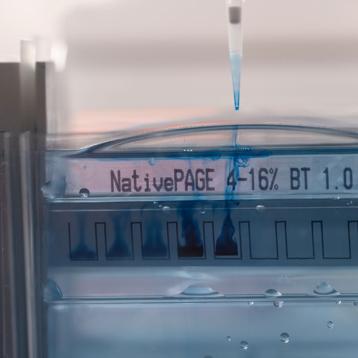 Pipetting into the gel