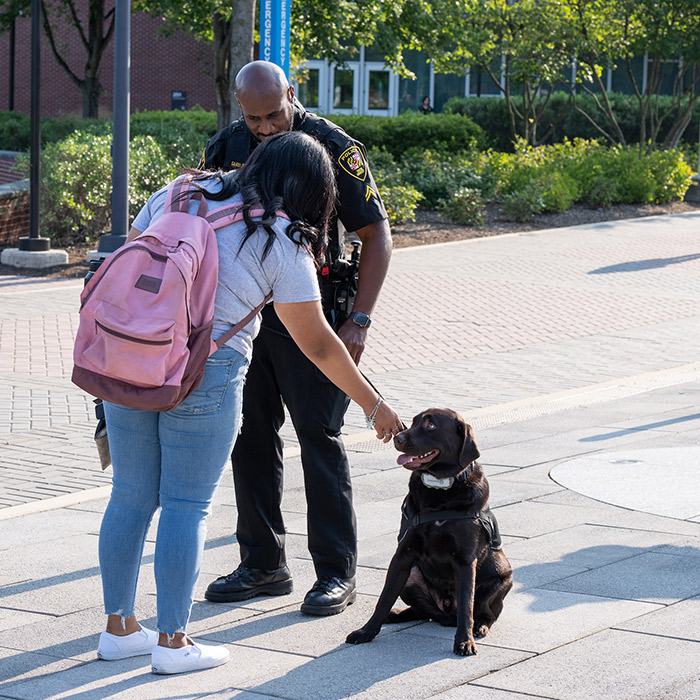 Bruno getting pets from a student